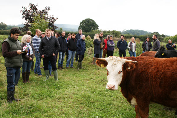 Our 2016 Autumn Farm Walk