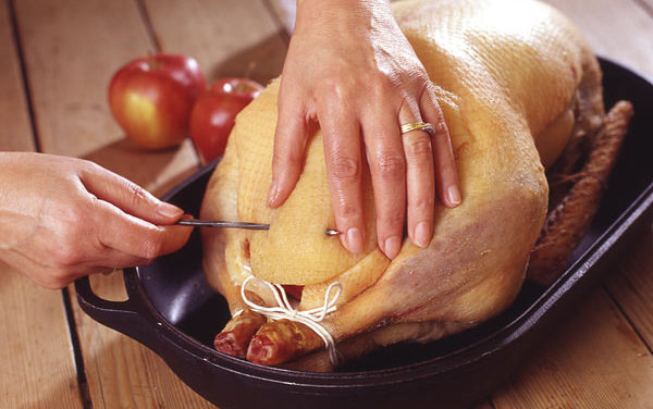 How to Roast Your Goose